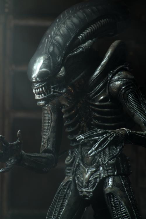 Neca - Alien - Ultimate 40th Anniversary Big Chap