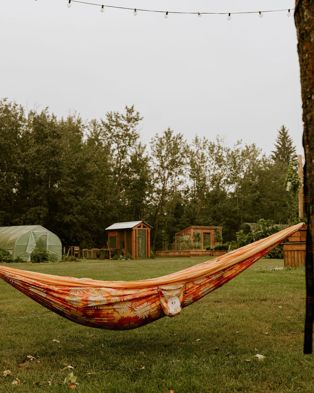 Adventure Hammock Meadow