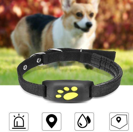 GPS Pet Tracker GPS Dog fence