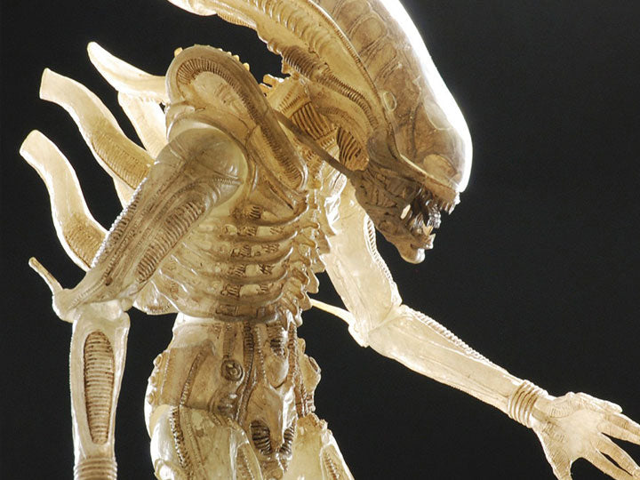 Aliens 40th Anniversary 7 Inch Action Figure Series 1 - Big Chap Concept