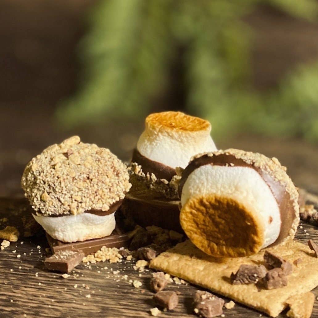 Base Camp Treats Freeze Dried Fire Roasted S'mores 