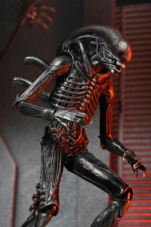 Alien: Romulus Ultimate Xenomorph XX121