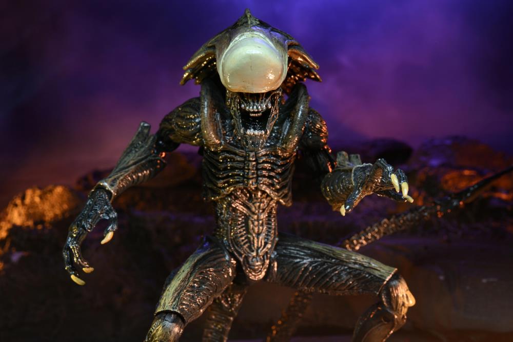 Neca - Alien vs. Predator Chrysalis (Movie Deco) Figure