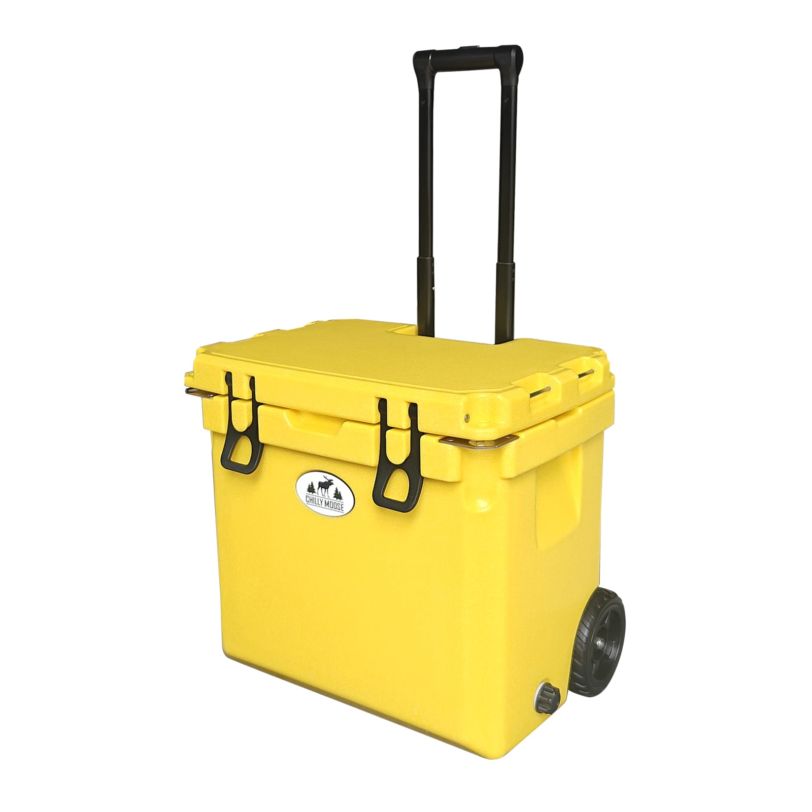 https://cdn.shopify.com/s/files/1/0089/6217/9169/files/35W_SUNRISE_3.jpg?v=1757008083
