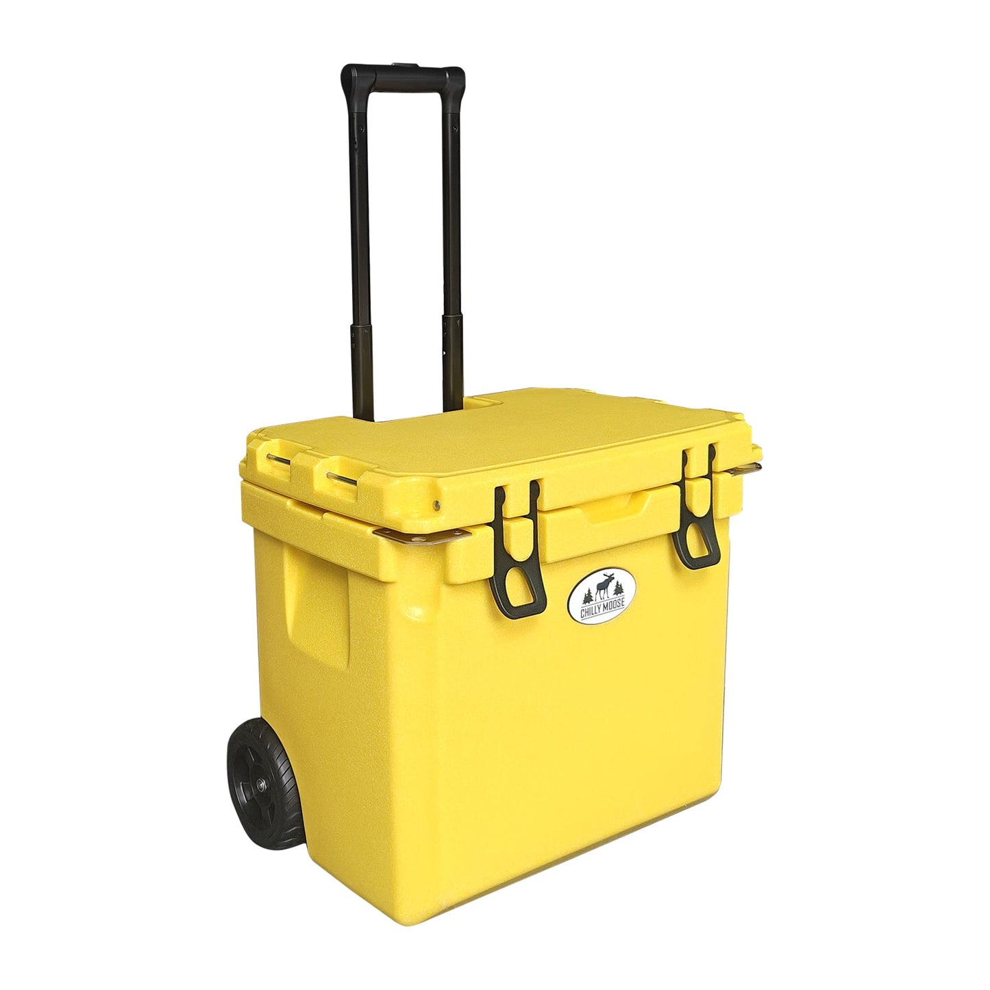 https://cdn.shopify.com/s/files/1/0089/6217/9169/files/35W_SUNRISE_4.jpg?v=1750698388