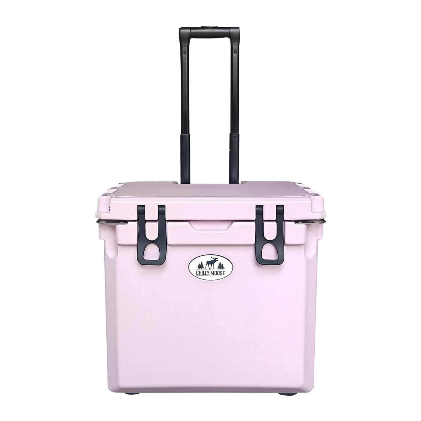 https://cdn.shopify.com/s/files/1/0089/6217/9169/files/35W_THISTLE_1.jpg?v=1750698388