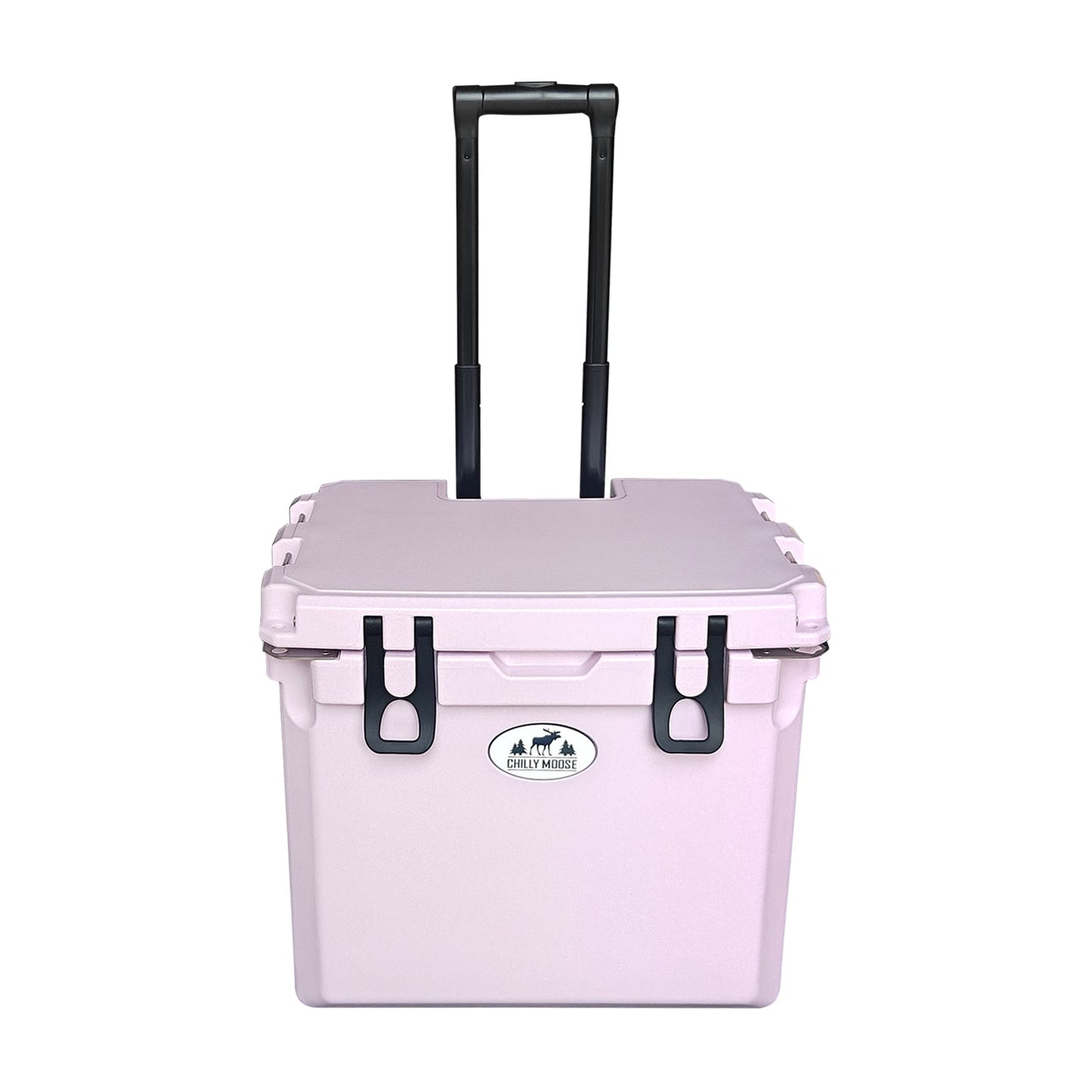 https://cdn.shopify.com/s/files/1/0089/6217/9169/files/35W_THISTLE_2.jpg?v=1750698388