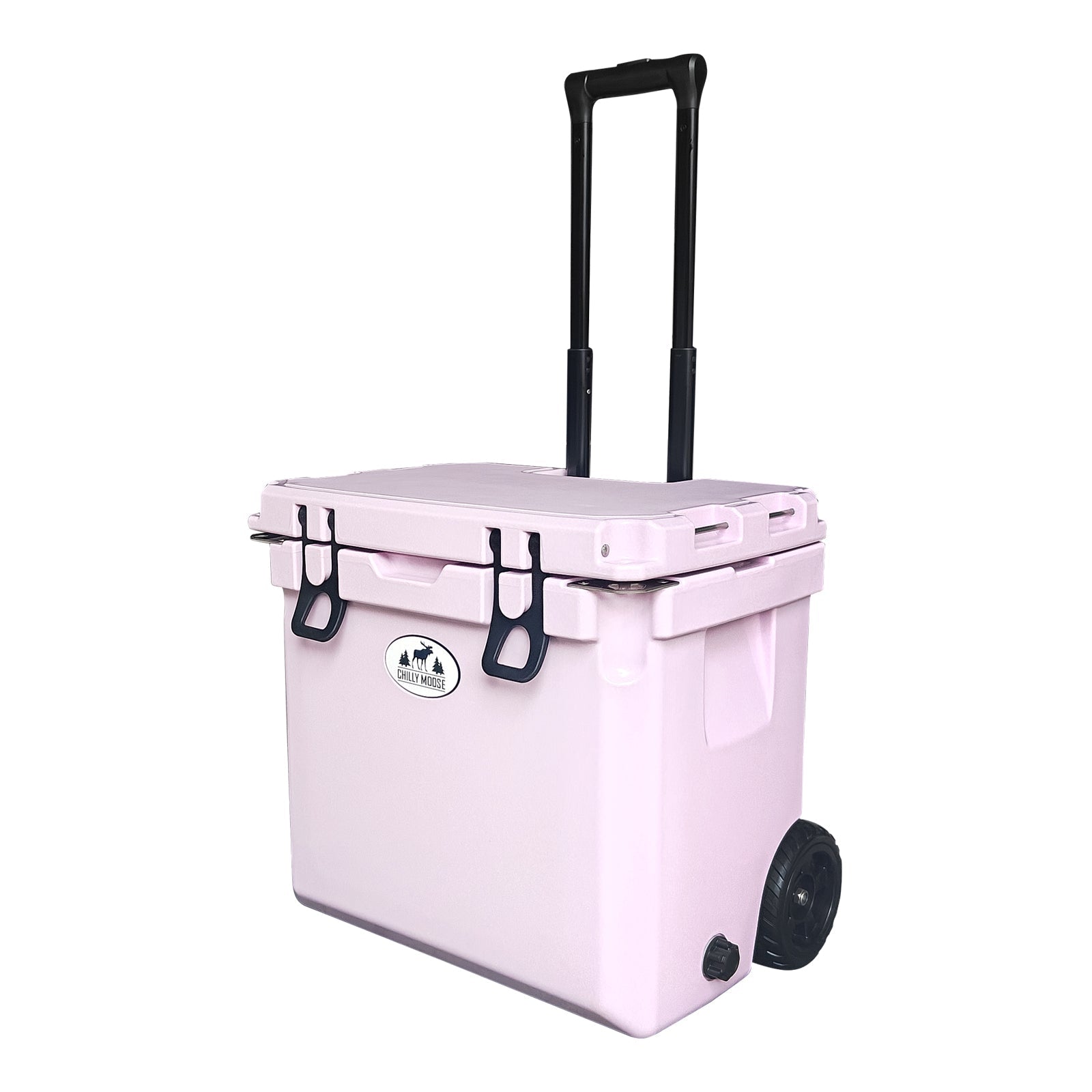 https://cdn.shopify.com/s/files/1/0089/6217/9169/files/35W_THISTLE_3.jpg?v=1757008083