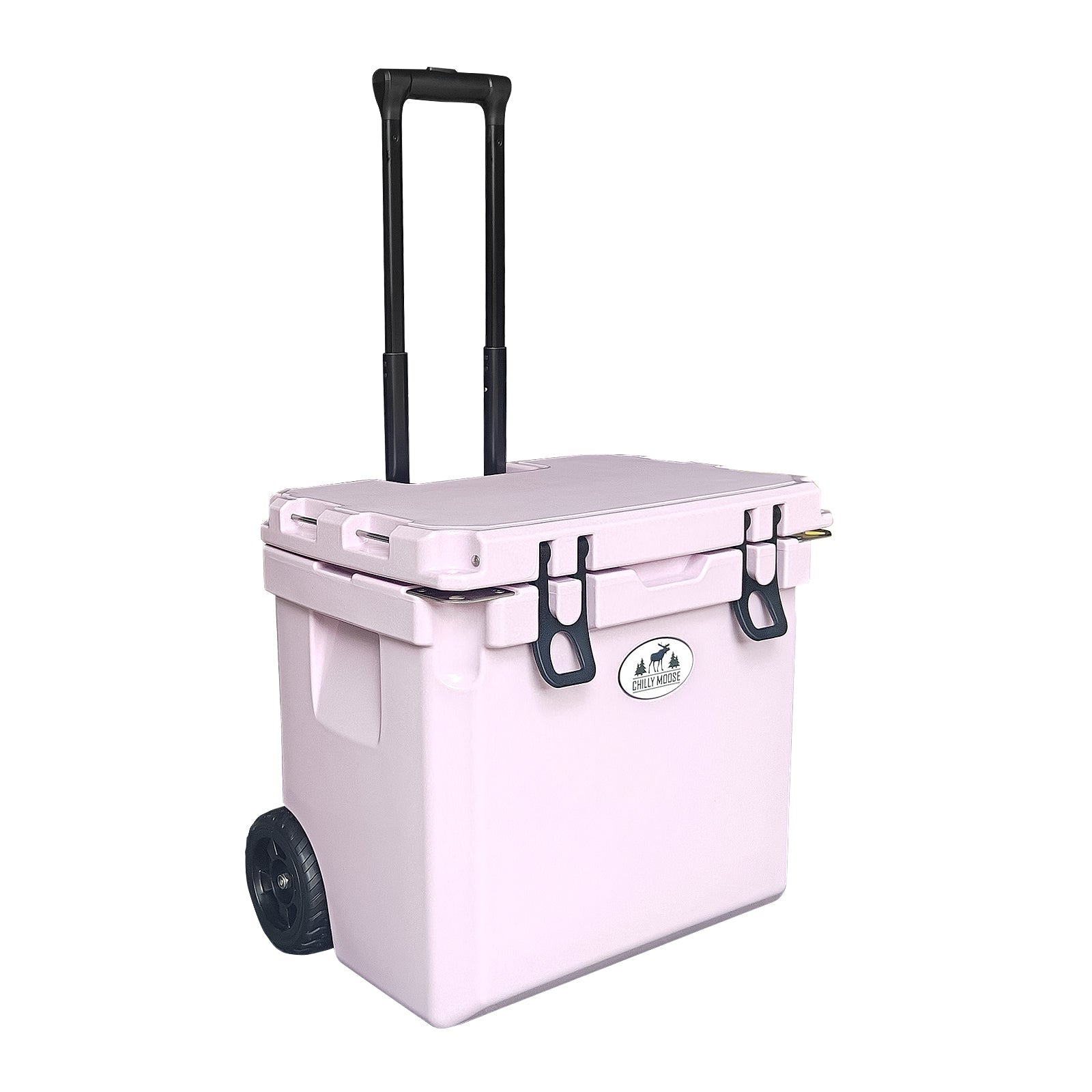 https://cdn.shopify.com/s/files/1/0089/6217/9169/files/35W_THISTLE_4.jpg?v=1747147008