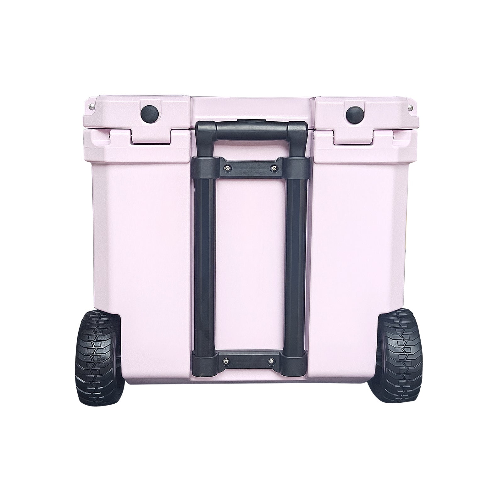 https://cdn.shopify.com/s/files/1/0089/6217/9169/files/35W_THISTLE_7.jpg?v=1747147008