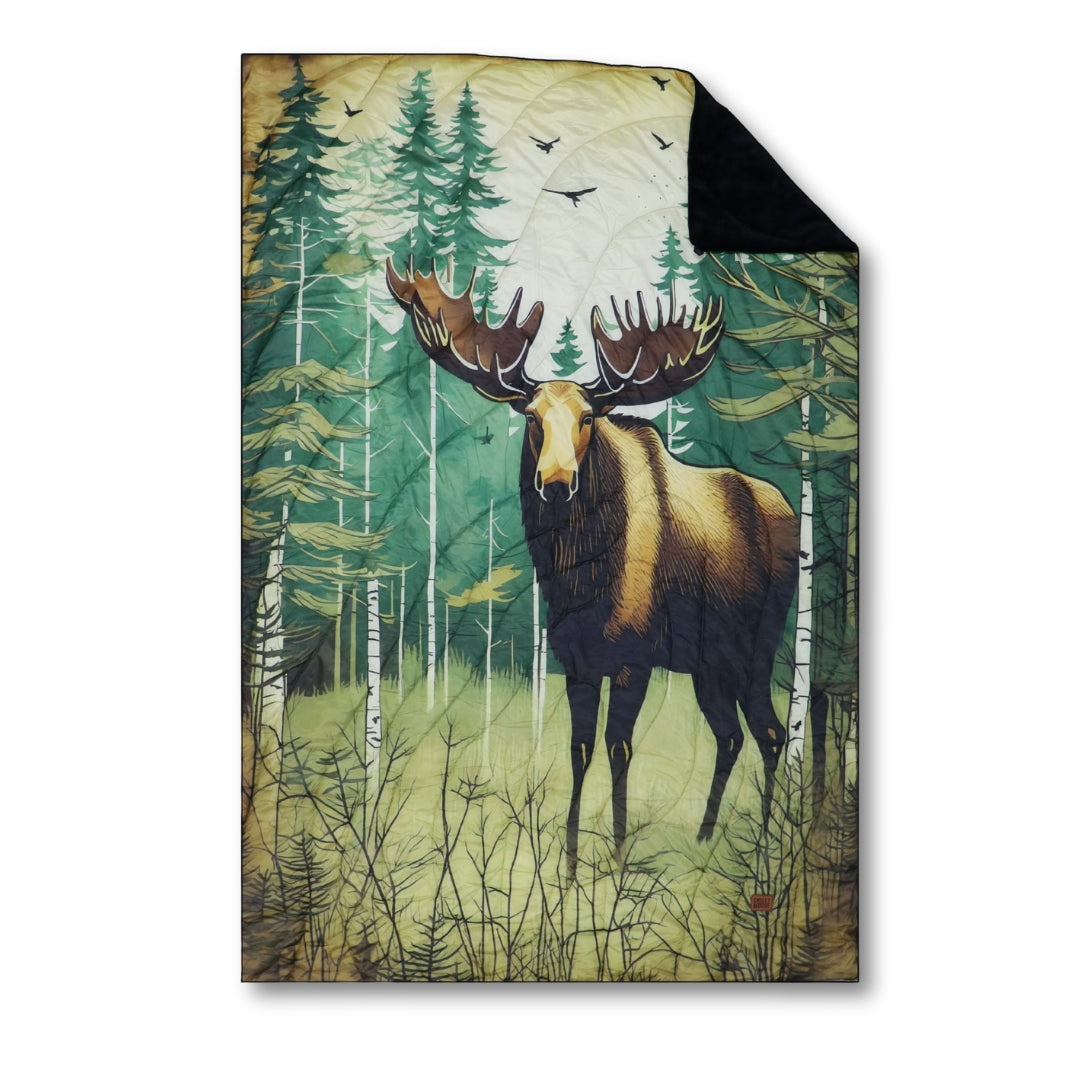 https://cdn.shopify.com/s/files/1/0089/6217/9169/files/3_12.jpg?v=1751995775