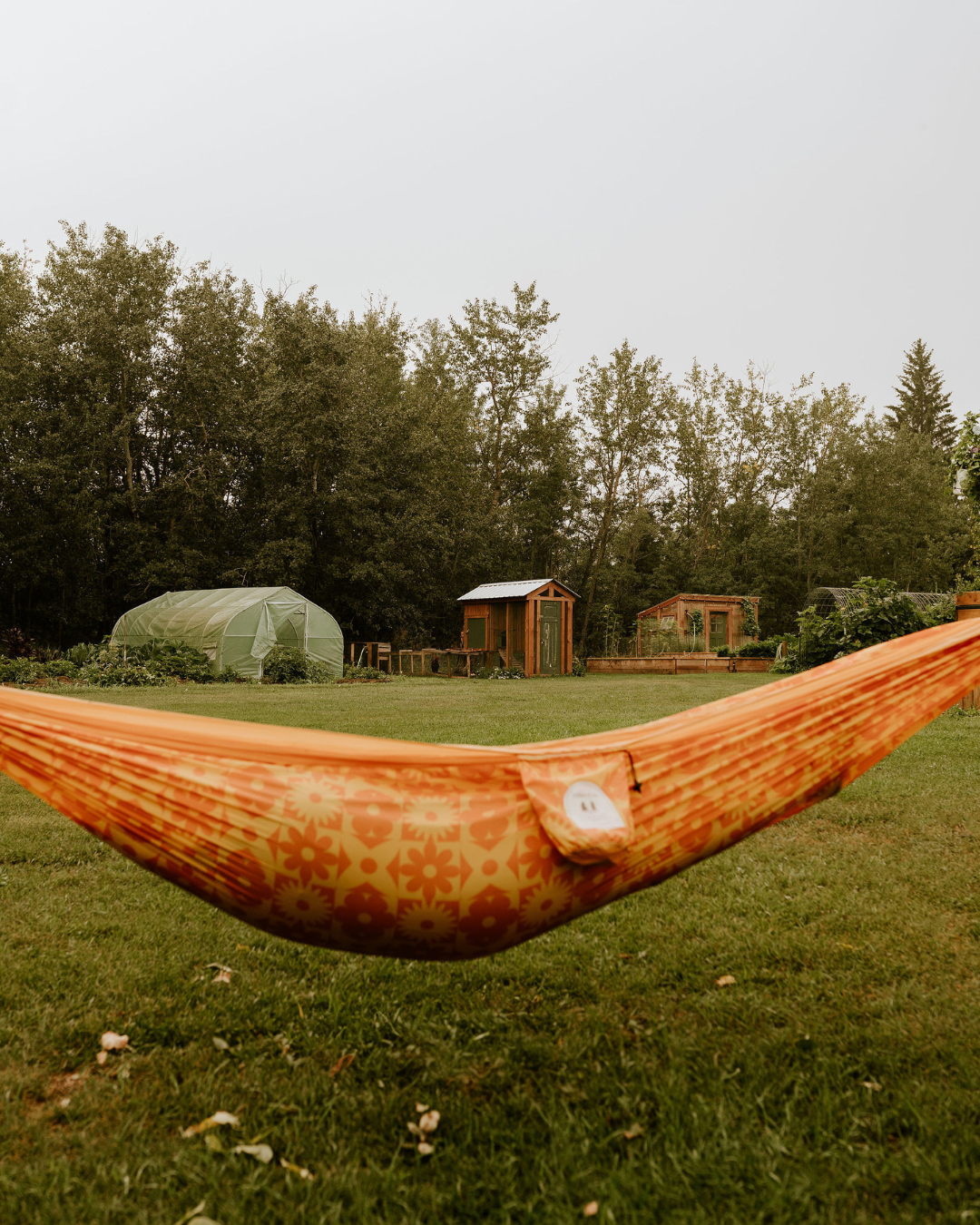 Adventure Hammock Prairie