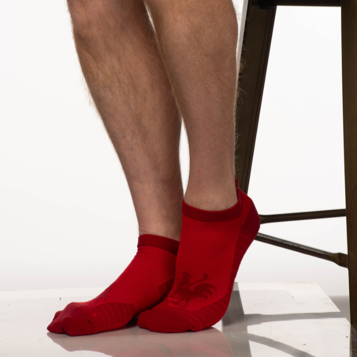 Performance Socks - Short