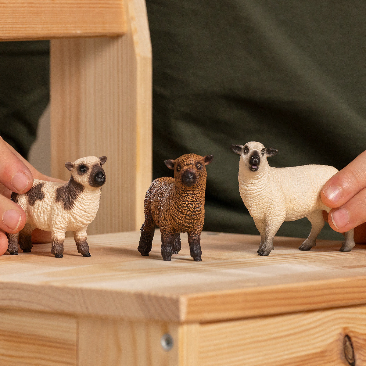 Sheep Friends