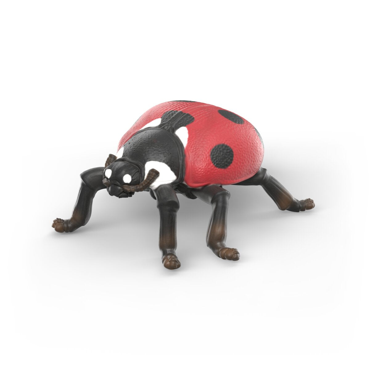 Insects discovery set