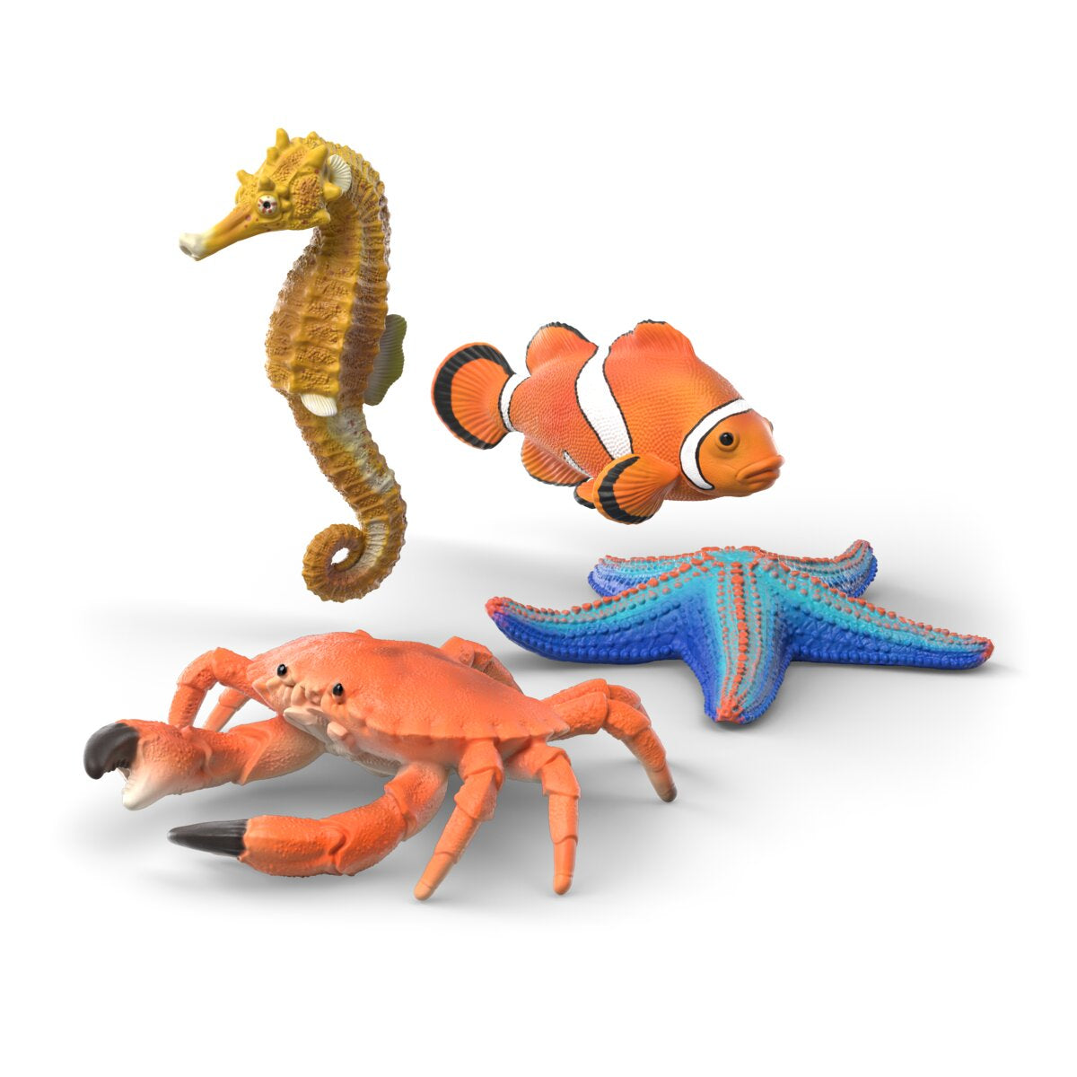 Sea animals discovery set
