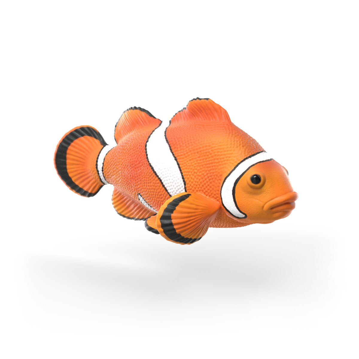 Sea animals discovery set