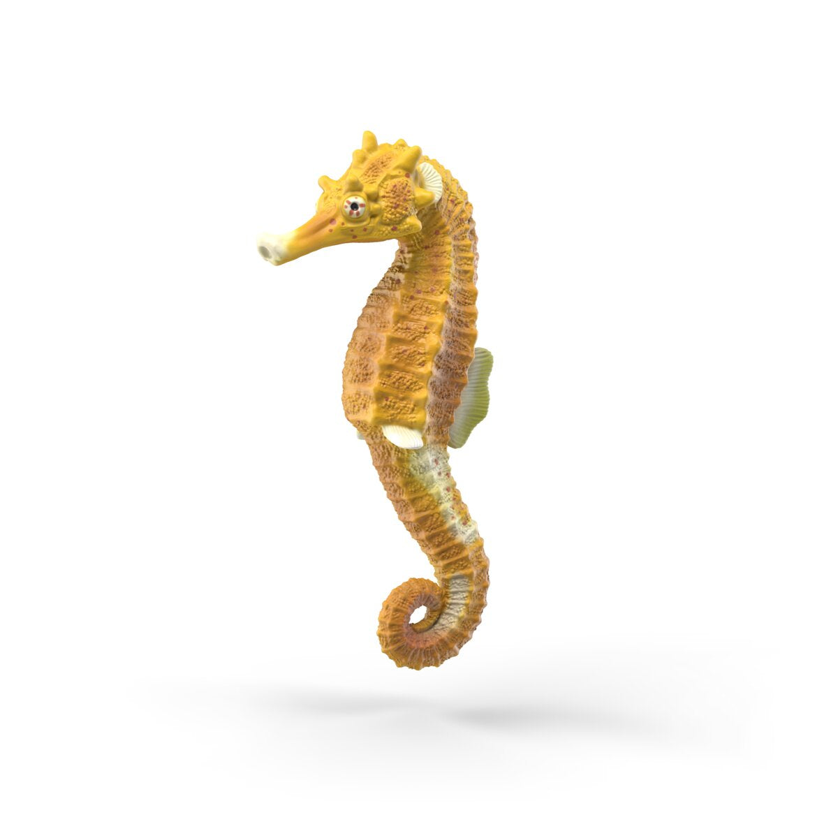 Sea animals discovery set