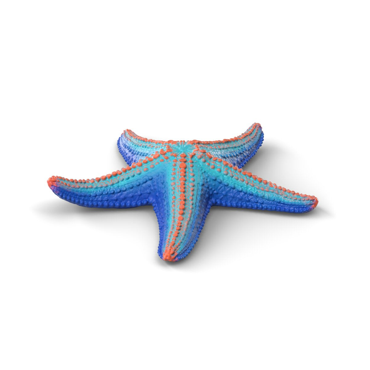 Sea animals discovery set