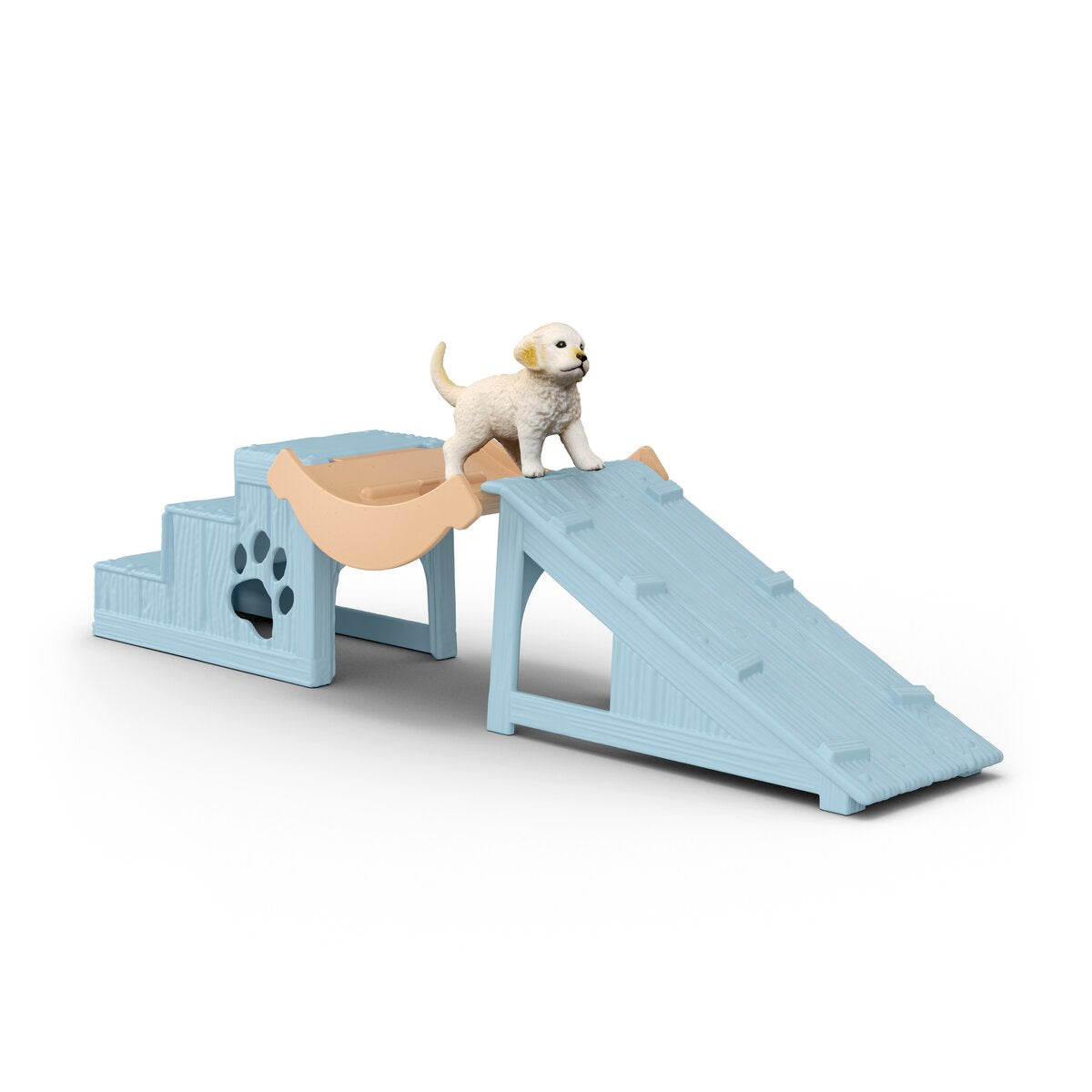 Adventure fun for little puppies