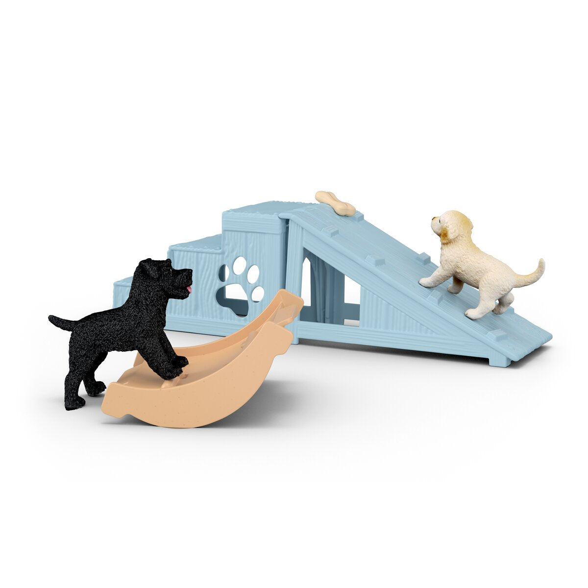 Adventure fun for little puppies