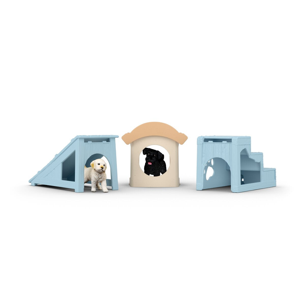 Adventure fun for little puppies