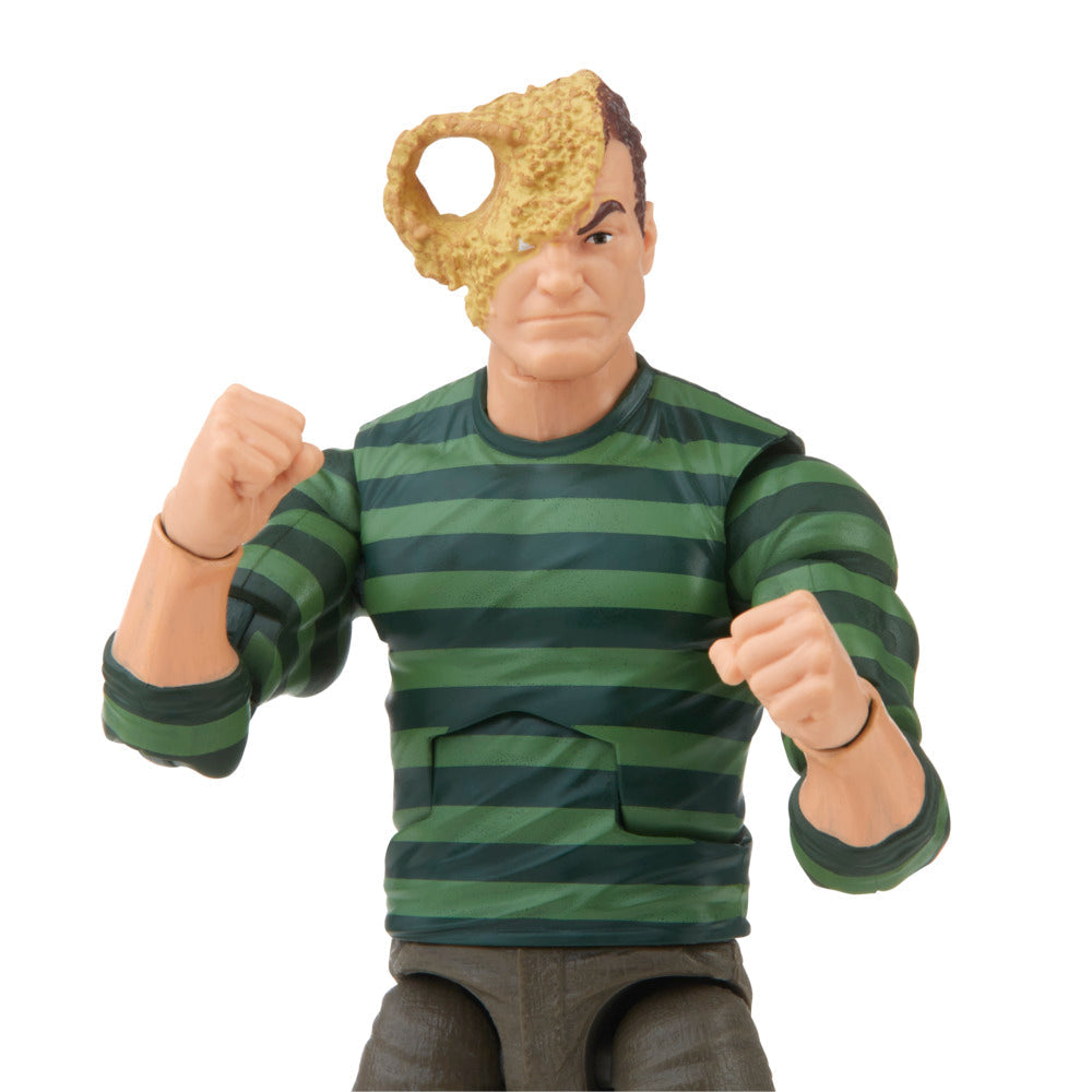 Hasbro Marvel Legends Series Marvel’s Sandman