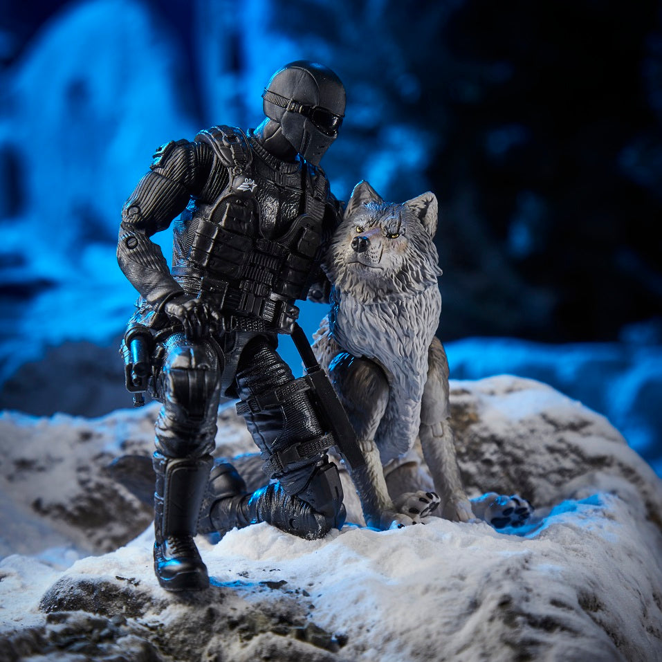 G.I. Joe Classified Series Snake Eyes & Timber: Alpha Commandos #30