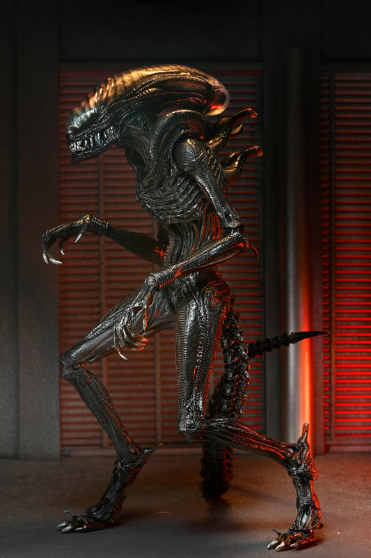 Alien: Romulus - 7" Scale Action Figure - Ultimate Scorched Xenomorph