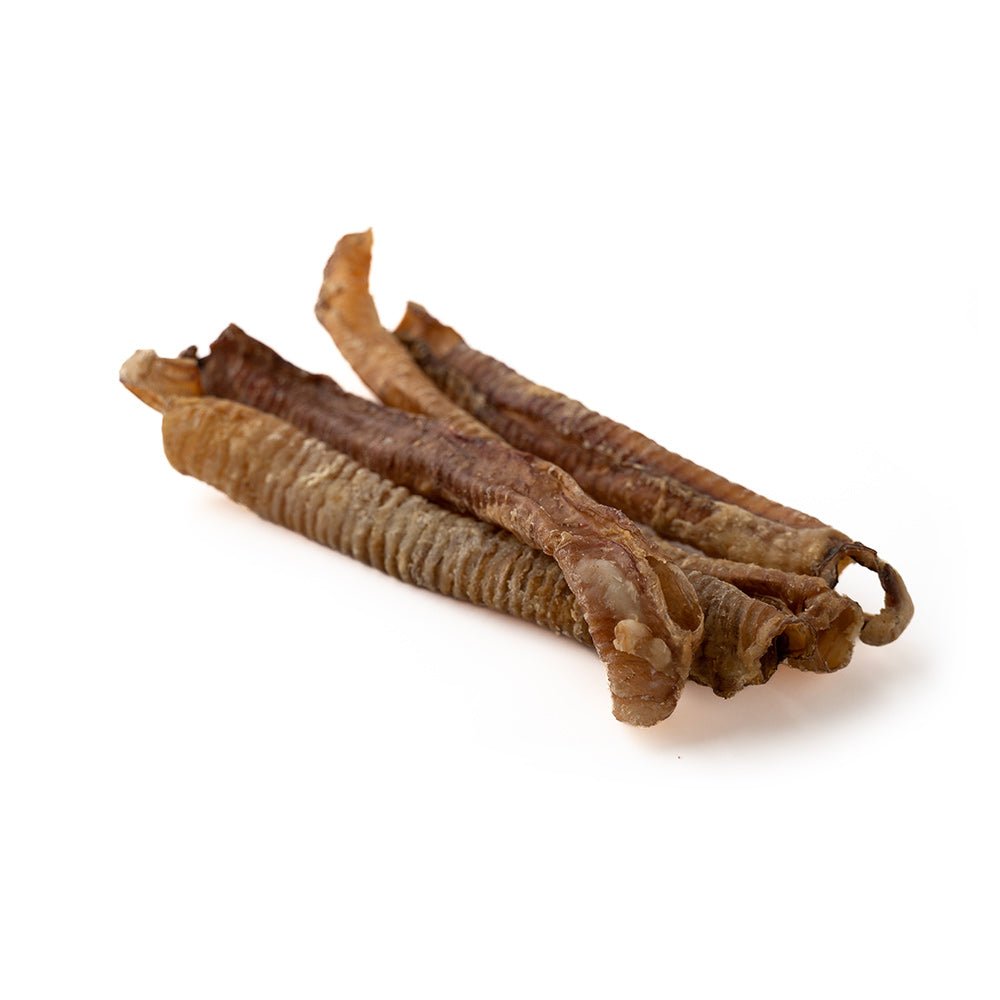 7"+ Lamb Trachea