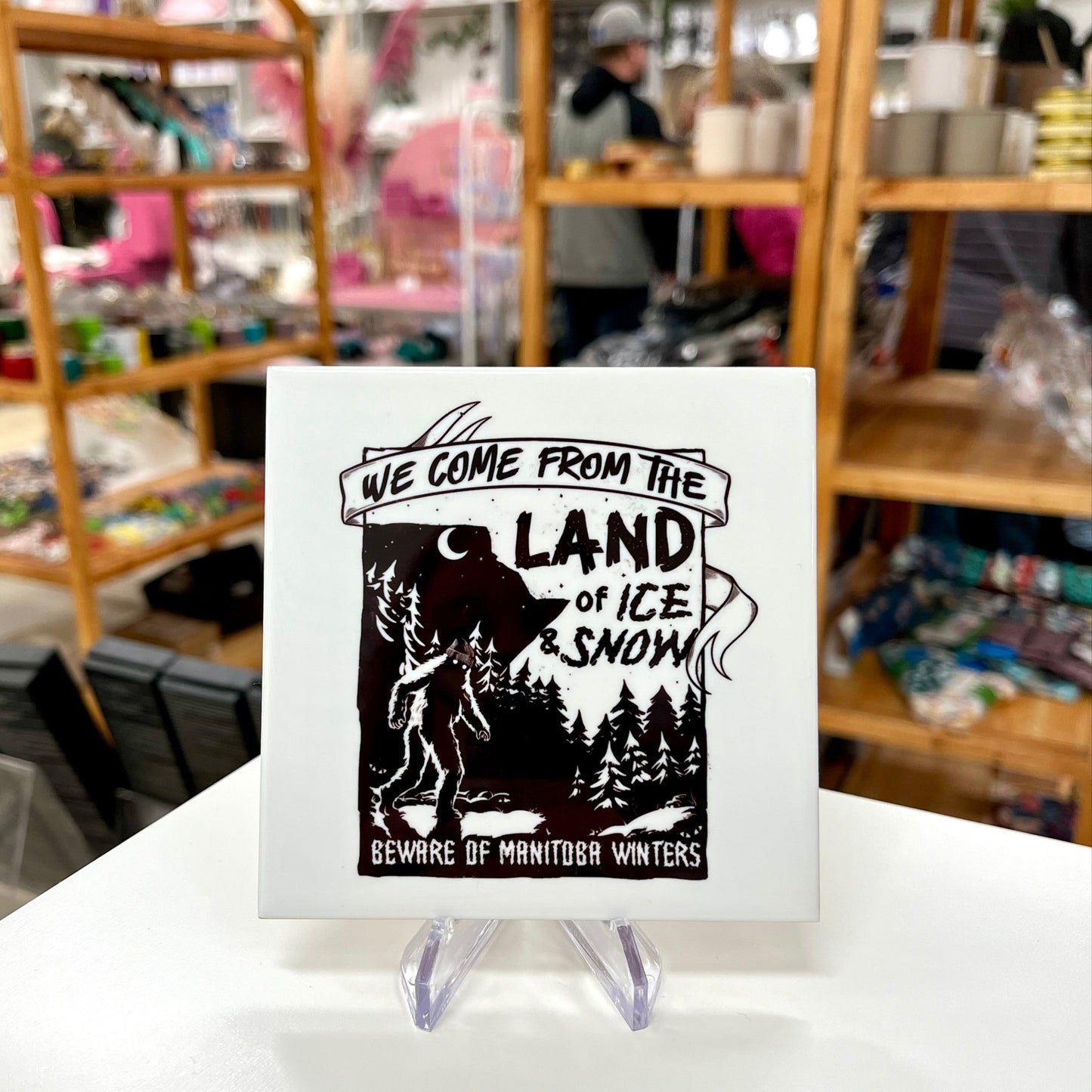 From the Land of Ice and Snow Coasters