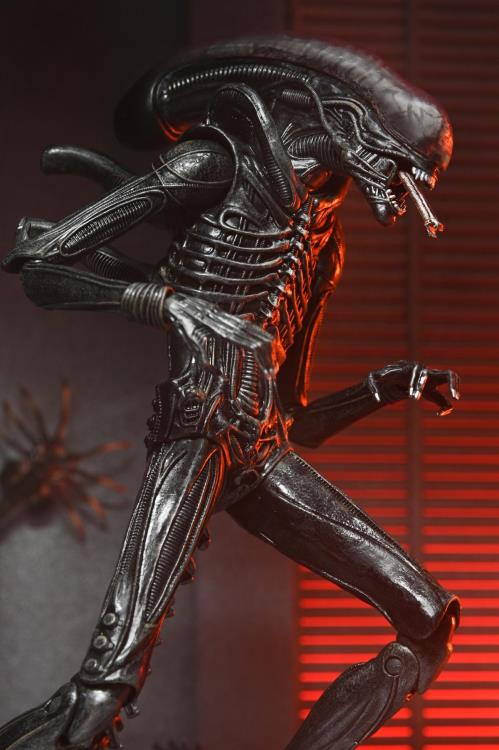 Alien: Romulus Ultimate Xenomorph XX121