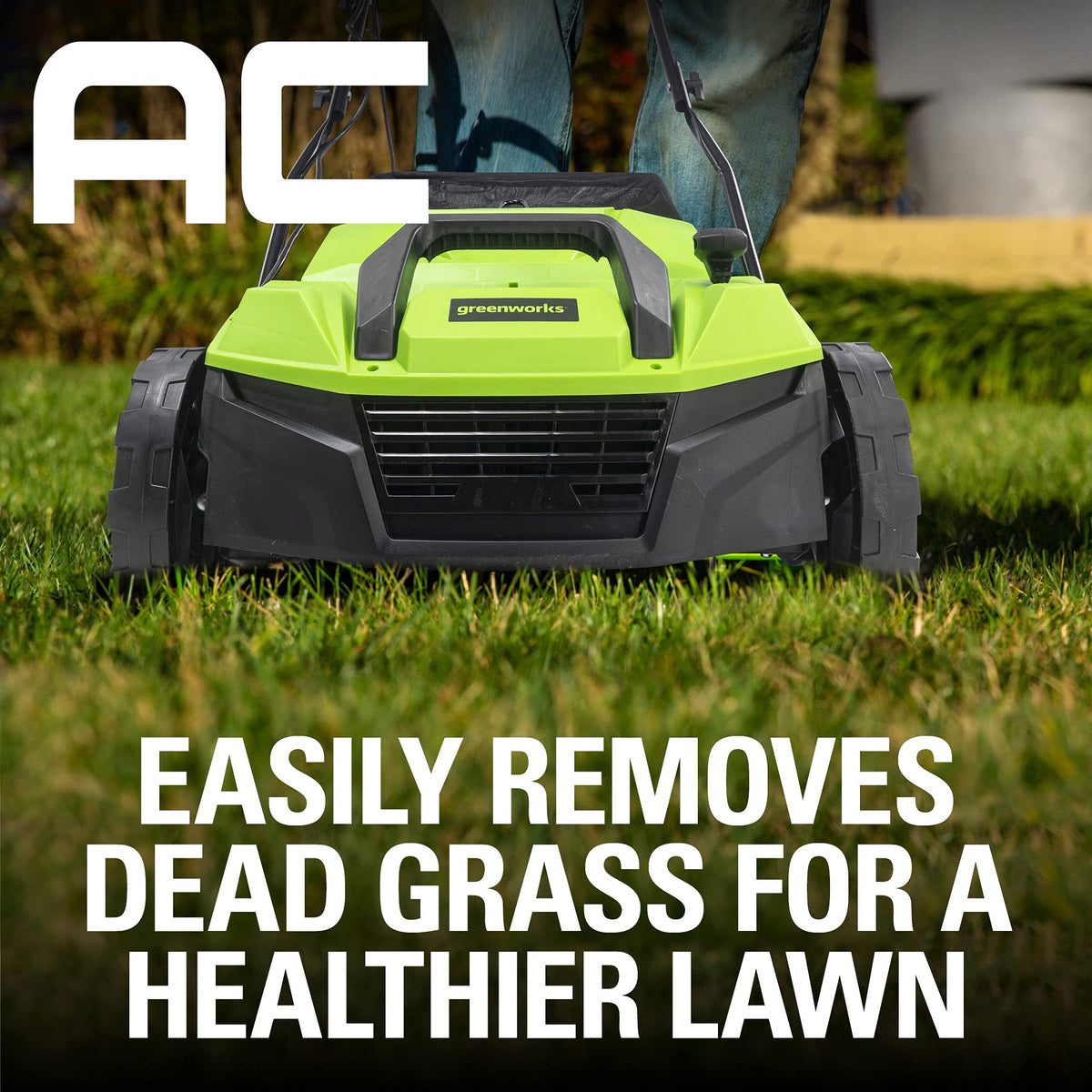 Greenworks 13 Amp 14-Inch Corded Dethatcher/Scarifier, DT13B00 🍁 All In One Marketplace Canada