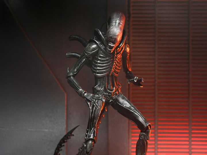 Alien: Romulus Ultimate Xenomorph XX121