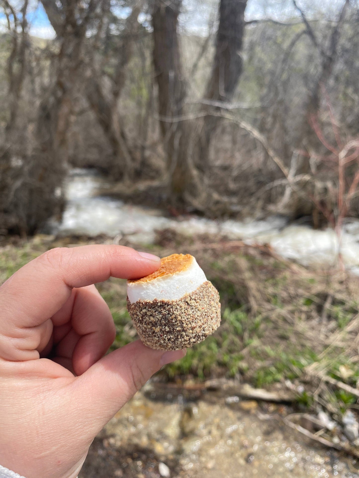 Base Camp Treats Freeze Dried Fire Roasted S'mores 