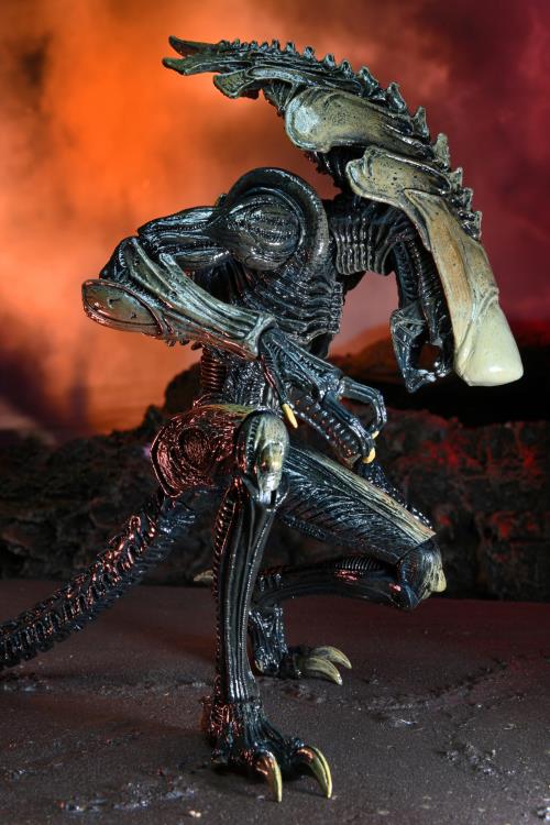Alien vs. Predator Aliens Set of 3 Figures Movie Deco