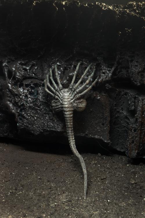 Neca Alien 40th Anniversary Giger's Alien