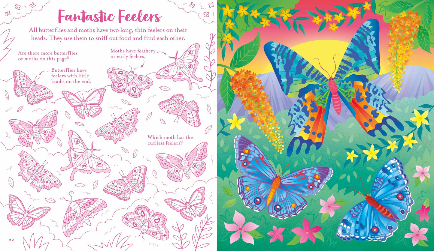 Usborne Scratch Activities Butterflies