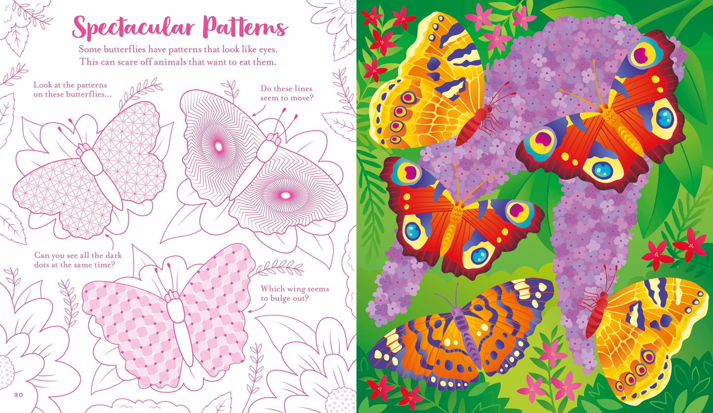 Usborne Scratch Activities Butterflies