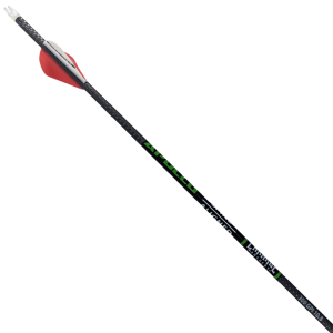 Carnage Apollo 300 10.8GPI 12-Pack Arrows