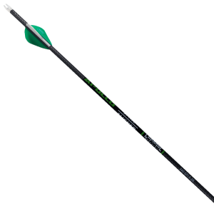 Carnage Apollo 340 9.9GPI 12-Pack Arrows
