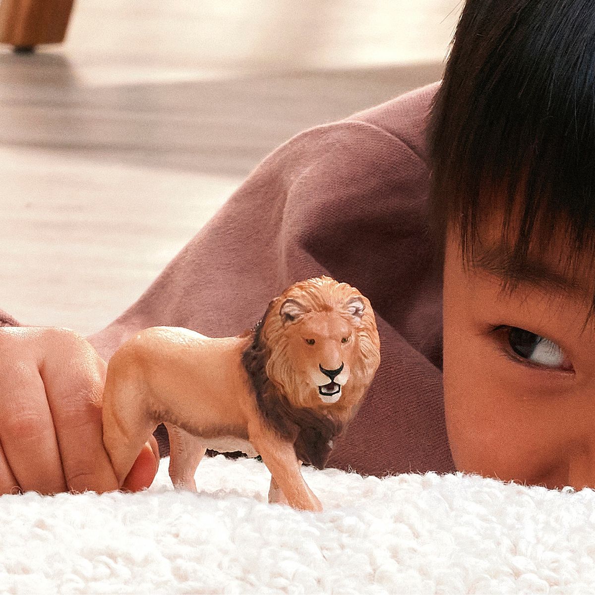 African Lion