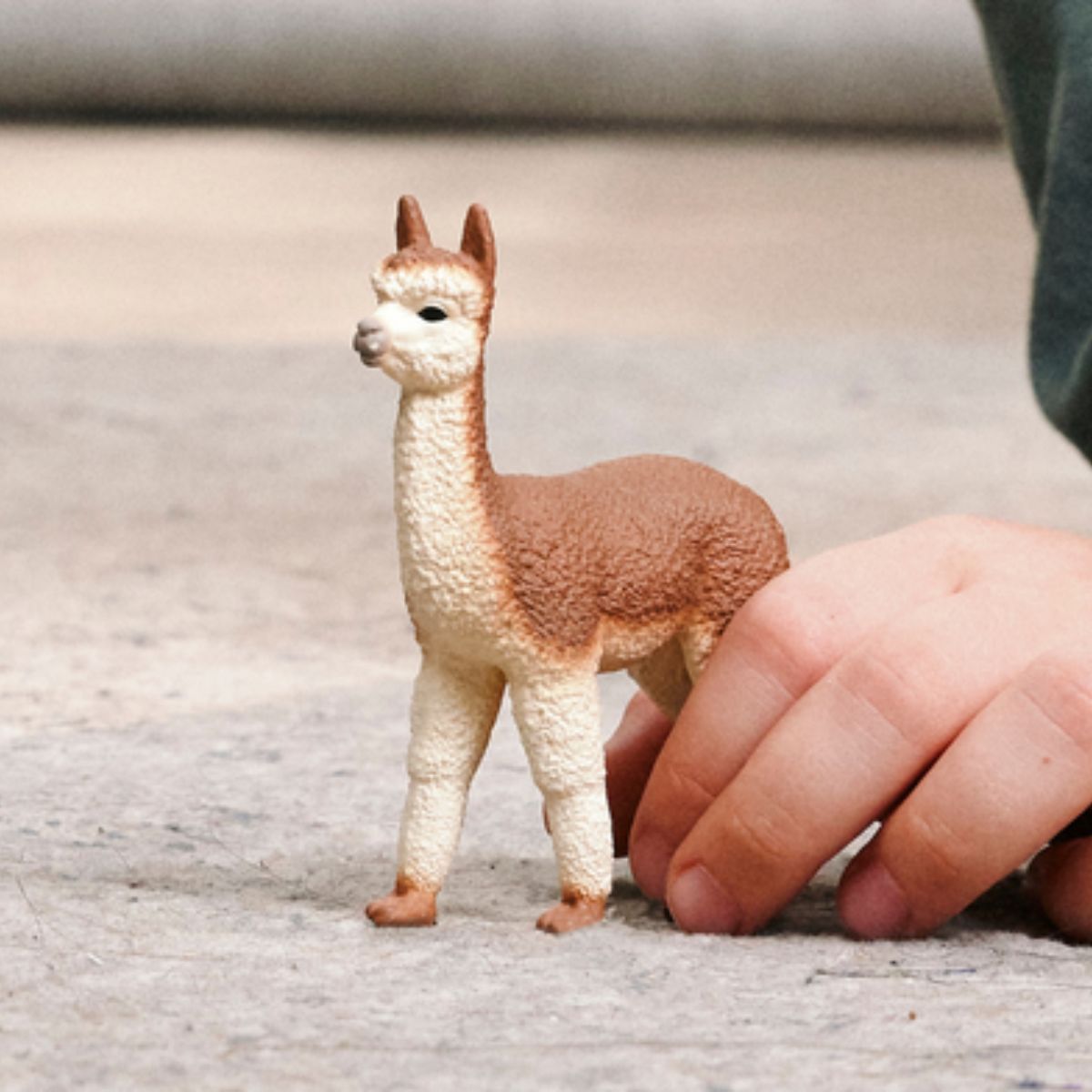 Alpaca