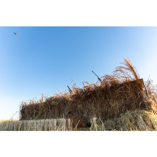 ALPS OUTDOORZ Alpha Waterfowl Blind