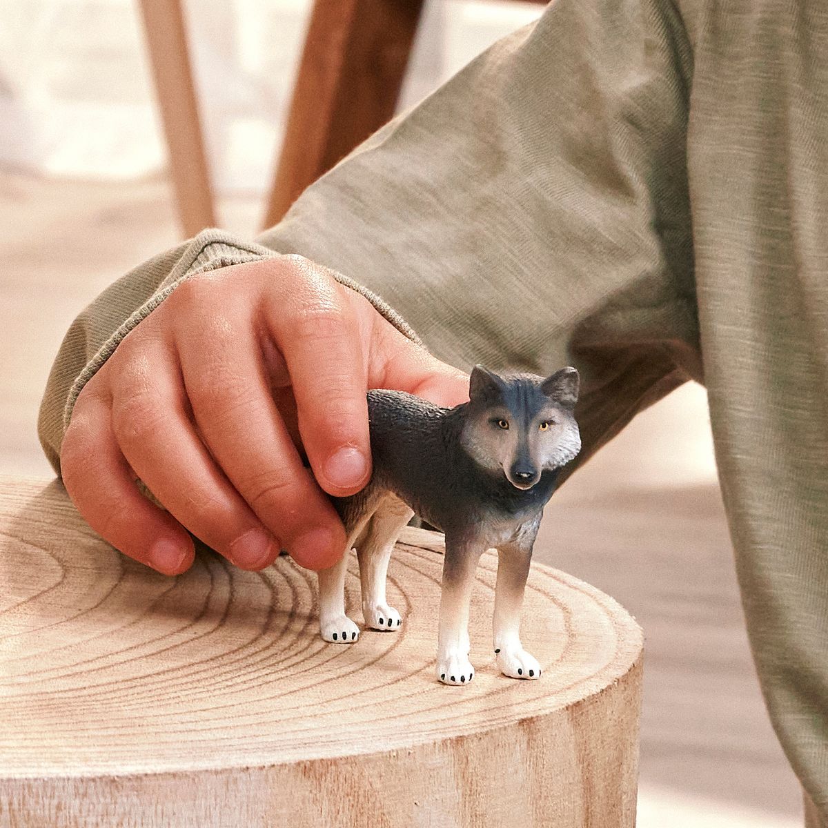 American Wolf