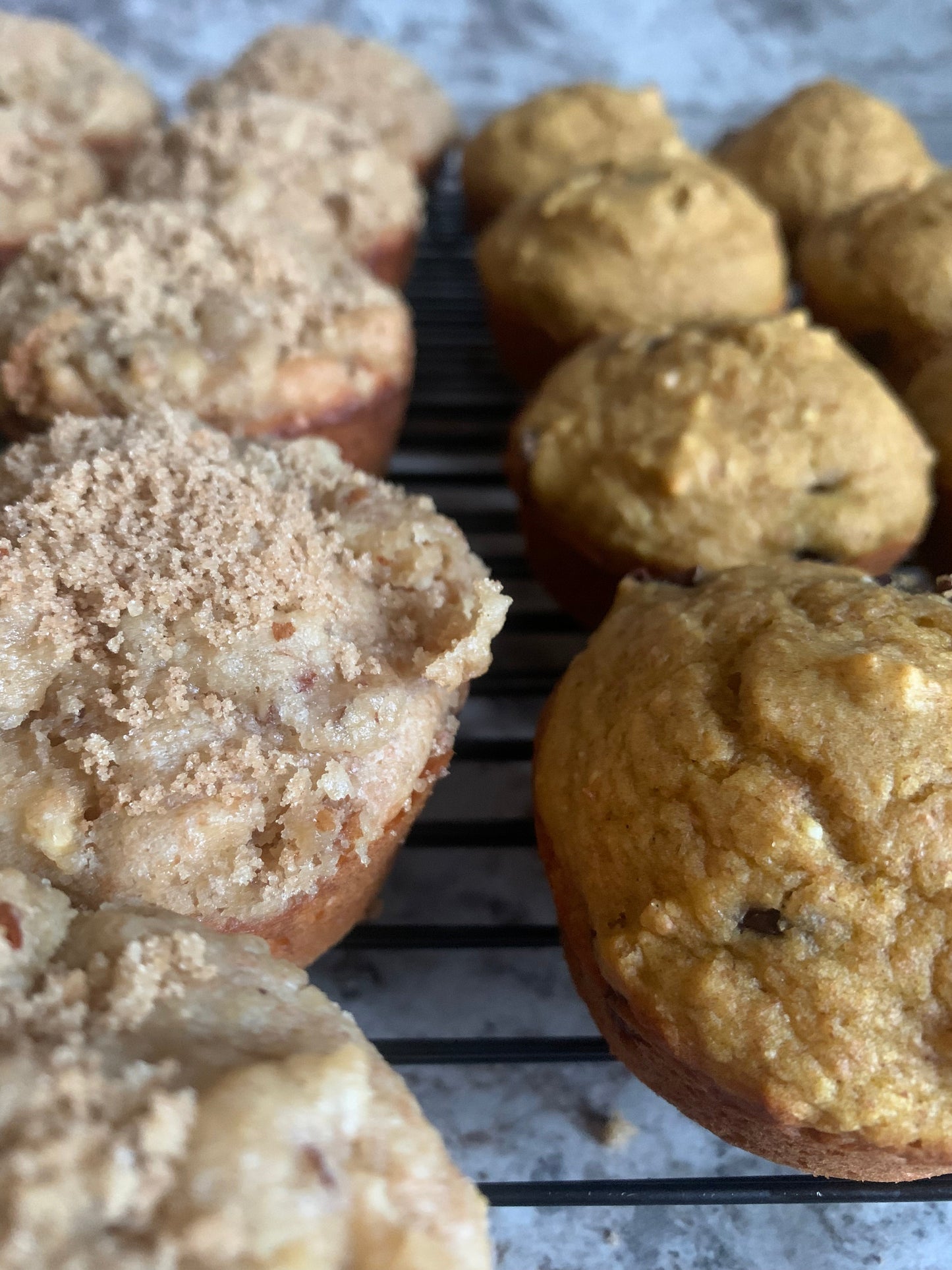 Organic Ancient Grain Muffin Mix