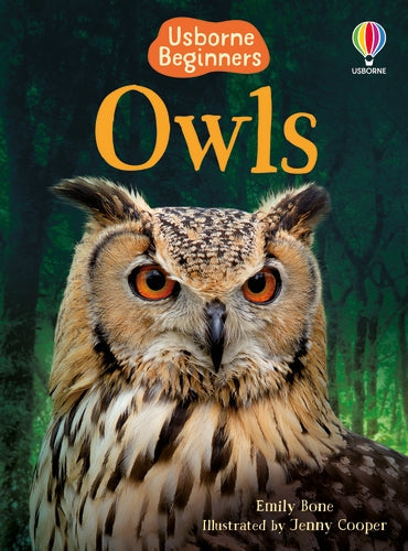 Owls (Beginners)