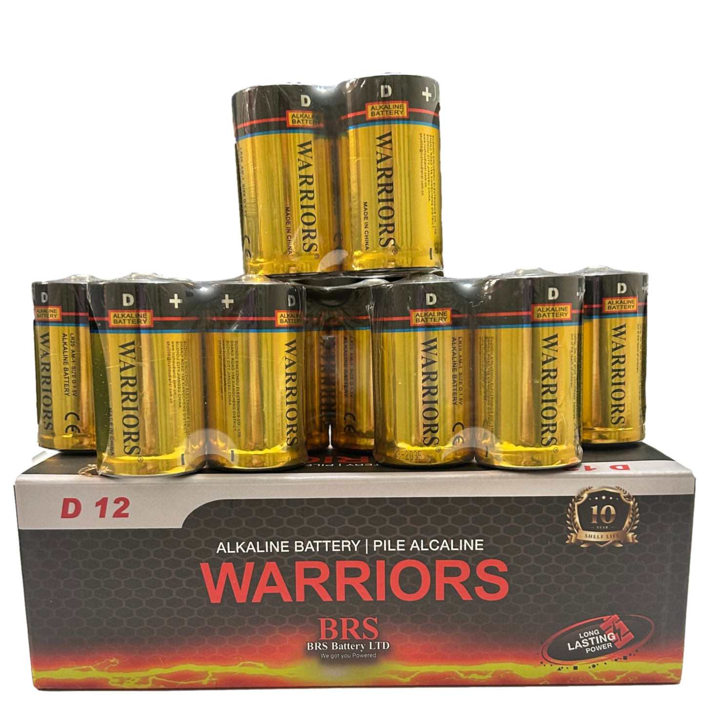 BRS D Alkaline Batteries — 12‑Pack (BRSLR20D)