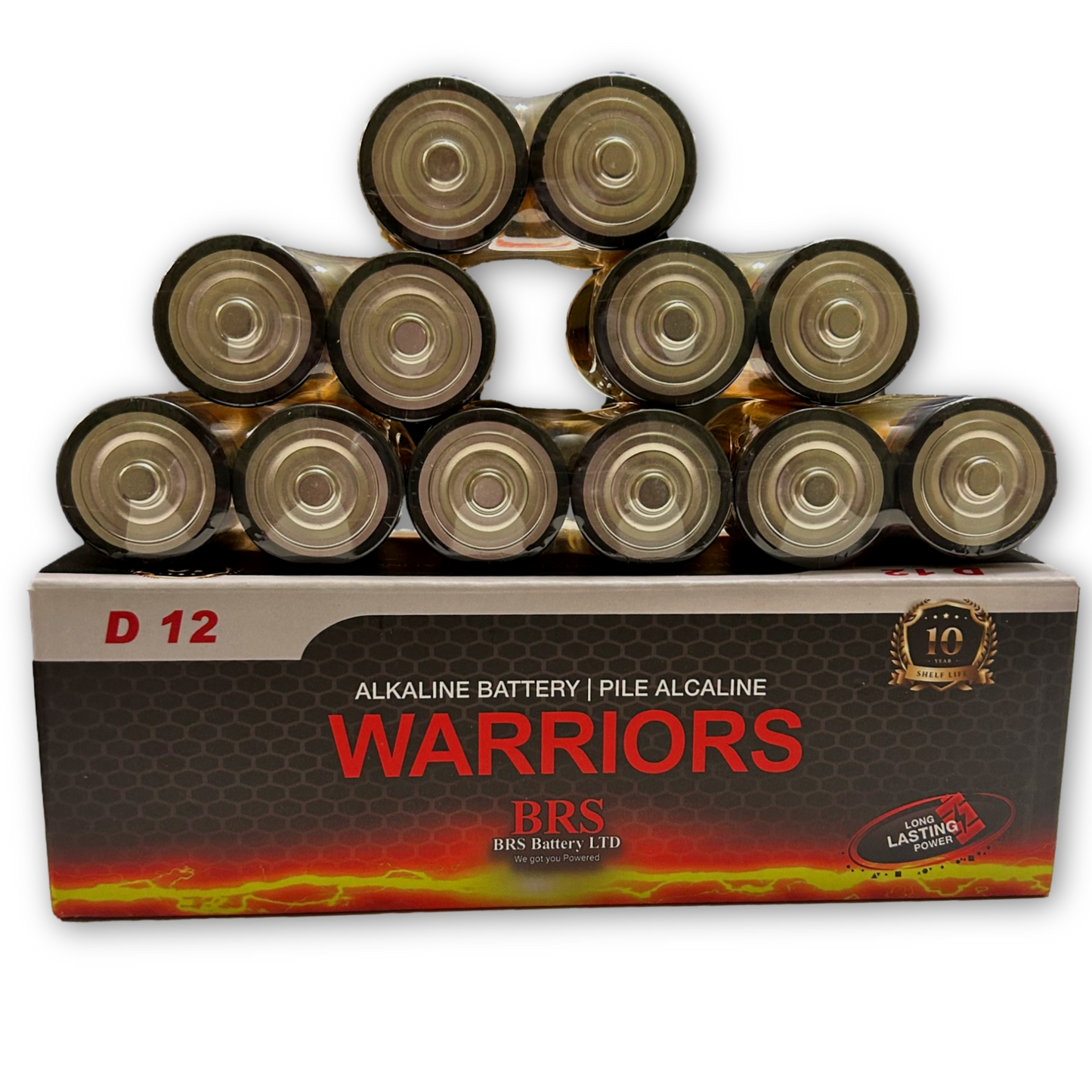 BRS D Alkaline Batteries — 12‑Pack (BRSLR20D)