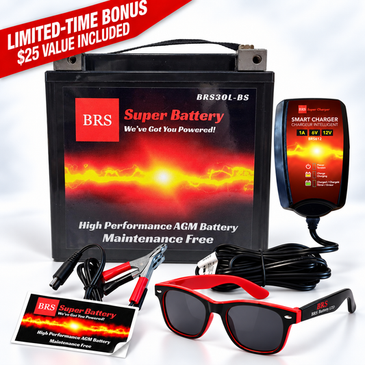 BRS30L-BS 30 Day Warranty Battery & Smart Charger / Maintainer Combo Bundle Kit